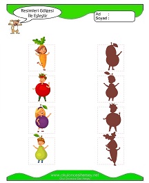 Gölgesi İle Eşleştir Çalışma Sayfaları